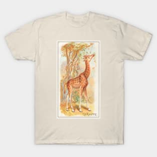 Giraffe (1890) T-Shirt